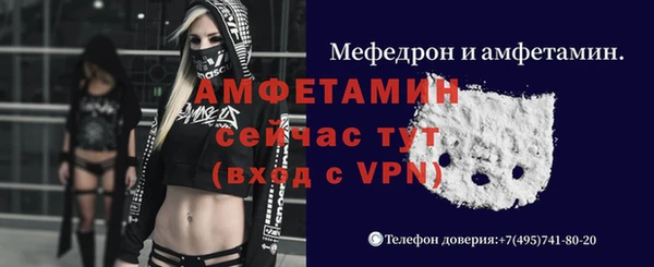 стафф Вязьма