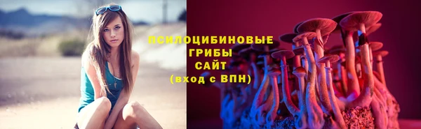 стафф Вязьма