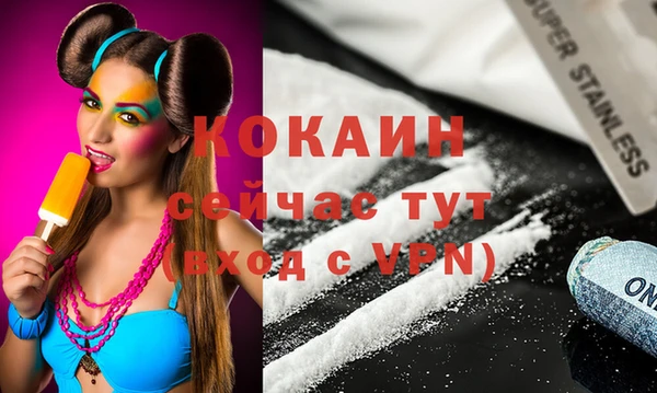 стафф Вязьма