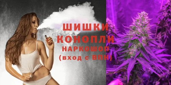 стафф Вязьма