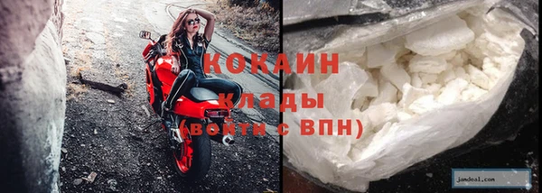 стафф Вязьма