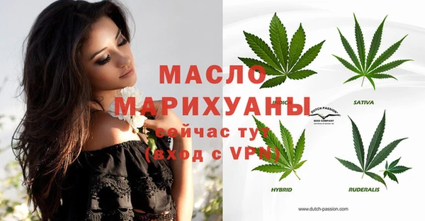 стафф Вязьма
