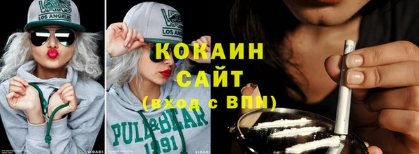 стафф Вязьма